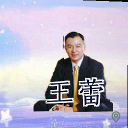 王蕾
